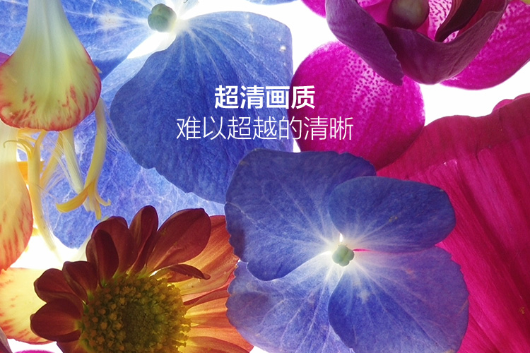 OPPO N3 拍照手机 OPPO N3手机 拍照手机 超清画质